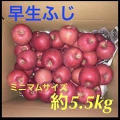 早生ふじ 青森県産 規格外のサムネイル