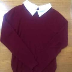 美品＊襟付きニットのサムネイル
