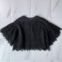 ANAYI シルク定価3.8万 刺繍レースクロップドブラウス ブラック 38 ANAYI シルク定価3.8万 刺繍レースクロップドブラウス ブラック 38