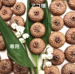 アコ　レッドオークどんぐり帽子　穴あけ　2.5㌢前後　120個 アコ様専用 レッドオークどんぐり帽子 穴あけ 2.5㌢前後 120個 - メルカリ
