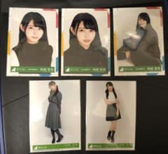 hira様 専用　日向坂46 / けやき坂46 柿崎芽実　まとめ売りのサムネイル