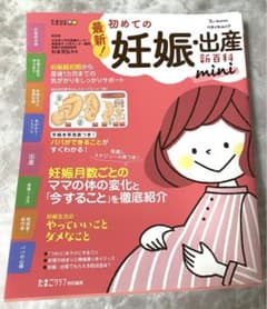 最新!初めての妊娠・出産新百科mini 本のサムネイル