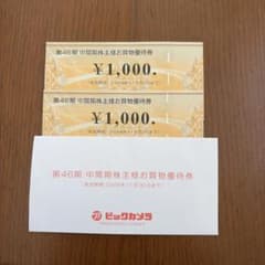 ビックカメラ 株主優待券 2枚セットのサムネイル