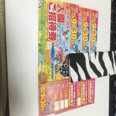 サマーランド３枚のサムネイル