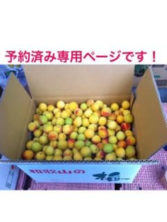 10キロ！Mサイズ　Anna様専用ページでございます！！のサムネイル