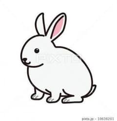 うさぎさん専用のサムネイル