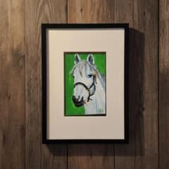 馬 白馬 白い毛色の馬 動物 希少種 油絵 絵画 インテリア 【mc0578