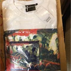 sanabagun. beams T コラボ  Ｔシャツのみ Lサイズのサムネイル