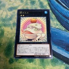 遊戯王 餅カエルのサムネイル