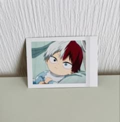 ヒロアカ 轟焦凍 ぱしゃこれ 横顔 泣き顔 ヒロアカ 轟焦凍 ぱしゃこれ - メルカリ