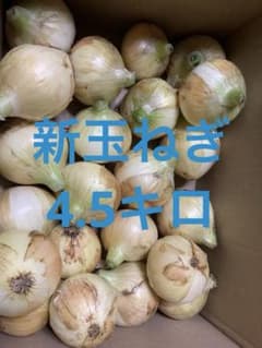 静岡県産　新玉ねぎ　黄玉 4.5キロのサムネイル