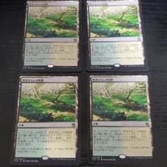 吹きさらしの荒野 4枚 英語のサムネイル