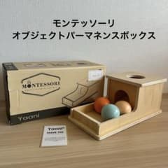YAANI モンテッソーリ オブジェクトパーマネンスボックス 玉入れ 知育