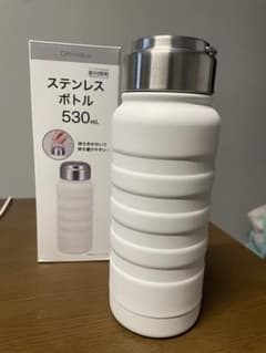 DAYValue ステンレスボトル 530mLのサムネイル
