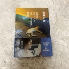 表参道のセレブ犬とカバーニャの野良犬のサムネイル