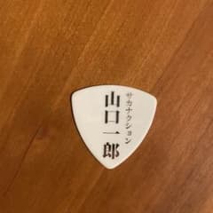 d*9様 サカナクション 山口一郎 ギターピック d*9様 サカナクション 山口一郎 ギターピック - メルカリ