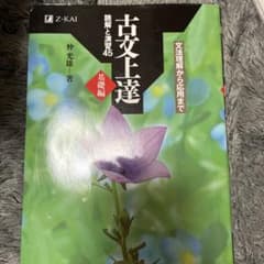 古文上達 基礎編 Z-KAIのサムネイル