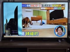 液晶割れ】東芝 REGZA 40v34 2022年製 液晶テレビ ジャンク品 - メルカリ