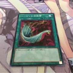 ハーピィの羽根帚のサムネイル