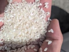 農家直送！新米あきさかり中米ブレンド白米１０キロオーバー発送！ 農家直送！新米コシヒカリ中米ブレンド精米白米10キロオーバー発送