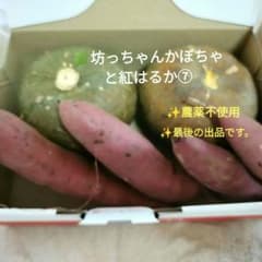 坊っちゃんかぼちゃと紅はるか　野菜詰め合わせ　野菜セット　農薬不使用のサムネイル