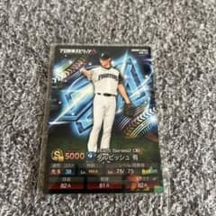 シークレット ダルビッシュ 有 プロ野球カード プロ野球チップス キラ
