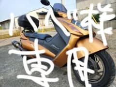 ハベ様専用！のサムネイル