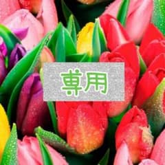 少女漫画 38冊　読み切り　まとめ売り フラワーコミックスのサムネイル