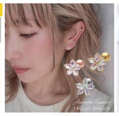 多彩なデザインのピアス 14Gのサムネイル