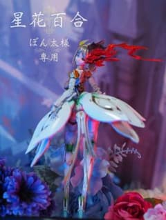 【ぼん太様専用】RS-03 星花・リリィ MK3【rosado Project】