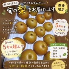 朝採れ 幸水 梨 5kg 新鮮 果物 - メルカリ