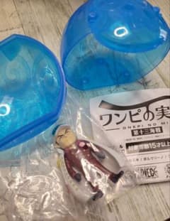 ワンピの実　ガチャ　サカズキのサムネイル