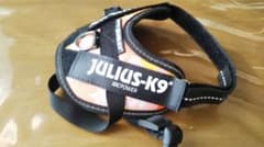 JULIUS-K9　犬用ハーネスのサムネイル