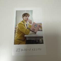 EBiDAN BUDDiiS KEVIN ミニフォトのサムネイル
