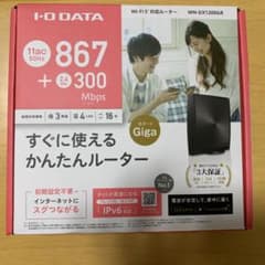 WN-DX1200GRのサムネイル