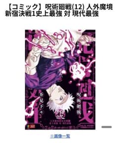Jujutsu Kaisen Remix Vol. 12 (with Animate bonus item)