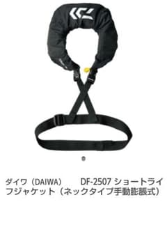 【ぶぶさん専用】ダイワ（DAIWA) DF-2507のサムネイル