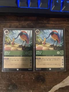 ケヴィン　ロルカナ（ノーマル1枚、foil1枚）のサムネイル