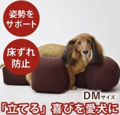 OneAid リラクッションDMサイズ 青 - メルカリ