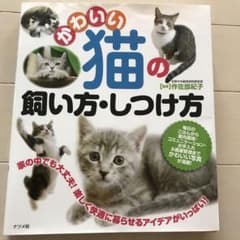 かわいい猫の飼い方・しつけ方のサムネイル