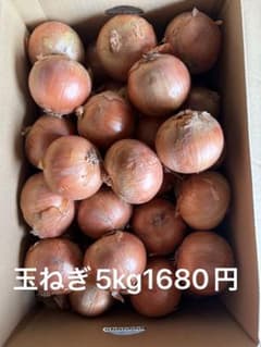 北海道産玉ねぎ 5kg1680円　使い易い2L サイズ　 とても綺麗な玉ねぎのサムネイル