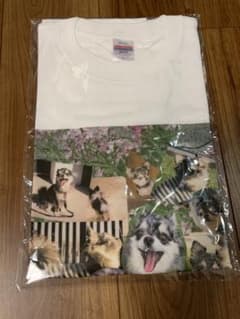 アイナジエンド　nukariari 非売品　Tシャツ アイナジエンド nukariari 非売品 Tシャツ - メルカリ