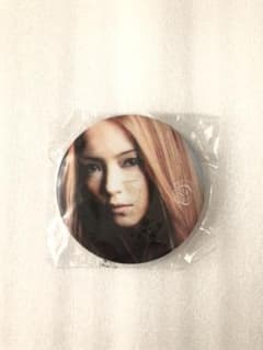 新品未開封  安室奈美恵 マグネット 24番のサムネイル