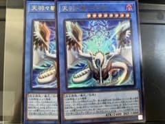 m45551237074_1.jpg?1758952573