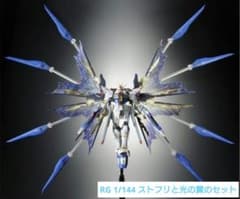 RG 1/144 ストライクフリーダムガンダム&光の翼※