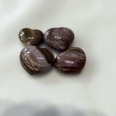 ペトリファイドウッド（珪化木）4個セット①のサムネイル