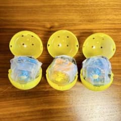 [신품] 포켓플라 블리스터 마스코트 매력 제니가메×2 피카츄×1