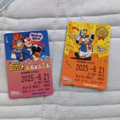 ディズニーリゾートライン フリーきっぷ　使用済み 2枚セット　ドナルドとピート柄のサムネイル