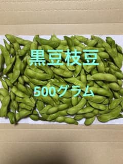 丹波黒豆枝豆　500gのサムネイル