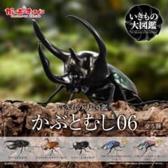 いきもの大図鑑　かぶとむし06 オオツノメンガタカブト　新品未開封品のサムネイル